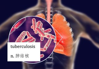 雅思阅读备考之医学术语，这些“法宝”你值得拥有
