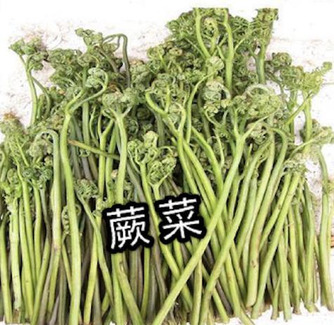 雅思口语话题和家人的休闲活动
