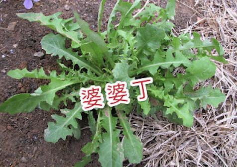 雅思口语话题和家人的休闲活动