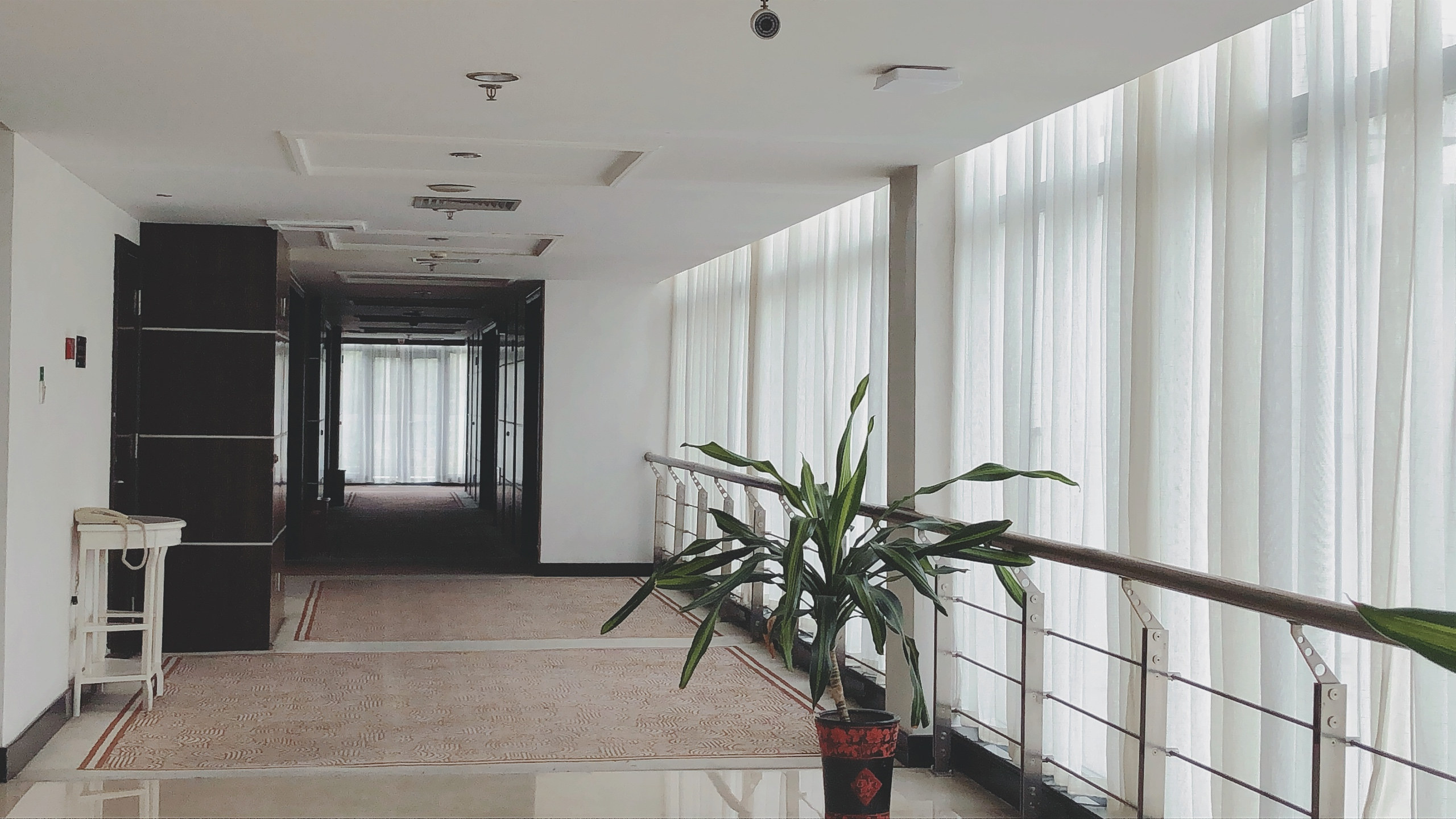 南京环球雅思(东莞分校)暑期封闭营 屠鸭斩托就在此刻