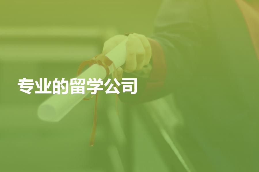 国内有哪些比较专业的留学中介公司？最全的汇总整理