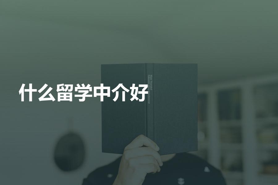选什么类型的留学中介机构比较好？留学机构分为哪些类型？