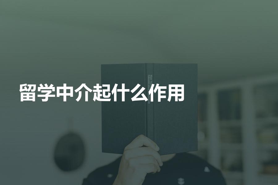 留学中介可以起到什么作用？准留学生须知