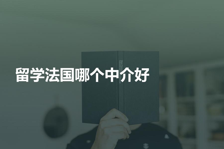 选择哪个法国留学中介机构比较好？超全攻略贴！