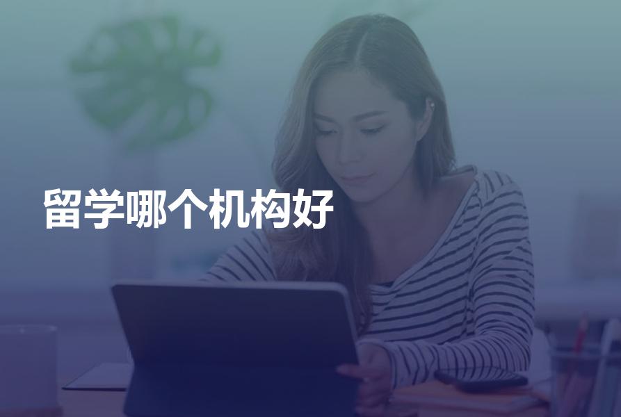 申请留学选择哪个中介机构更好？给家长和学生的一点建议