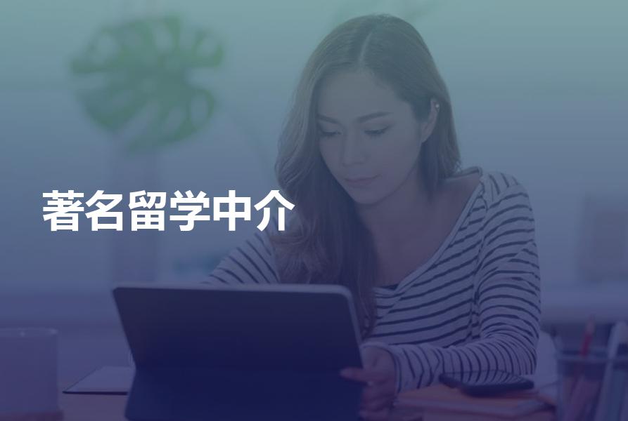 著名的留学中介和小众的留学中介应该如何选择？各自利弊对比分析
