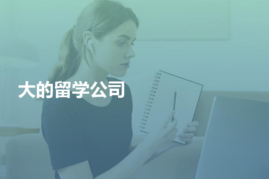 国内规模比较大的留学中介公司都有哪些？小规模的公司能选吗？