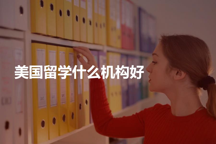 去美国留学，选择什么类型的中介机构比较好？美国机构类型介绍