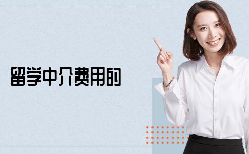 留学中介费用的收费标准是多少？内行专家揭秘留学中介费