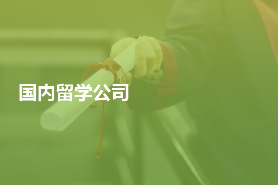 国内比较好的留学中介公司有哪些？有哪些评判标准？