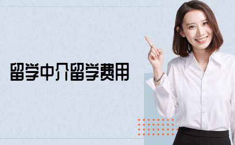 留学中介收取的留学申请费用一般是多少？是如何定价的？