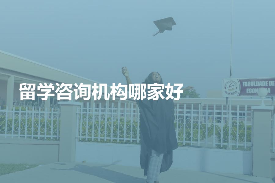 留学咨询机构哪家比较好？多家留学机构优势对比