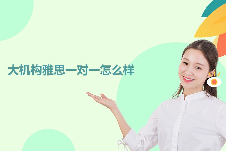 大机构雅思一对一怎么样？