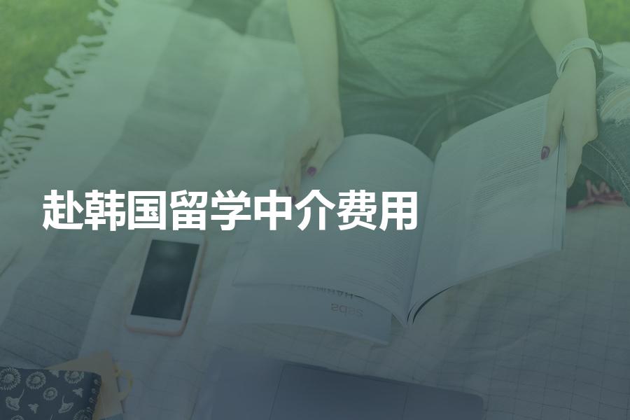 赴韩国留学的中介费用应该如何计算？留学中介收费情况汇总