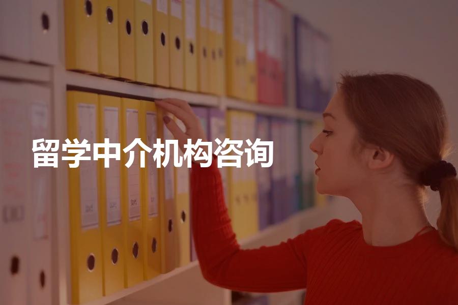 准备出国留学，应该咨询哪家留学中介机构？内行人士告诉你