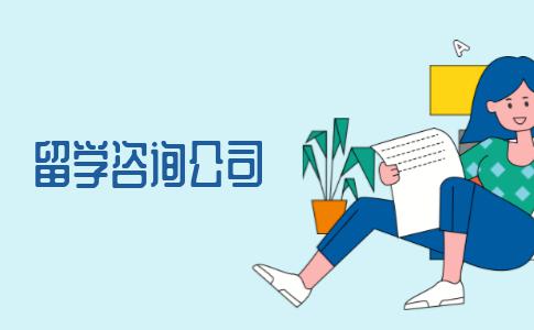 留学咨询公司有哪些收费项？该如何选择适合的留学中介机构？