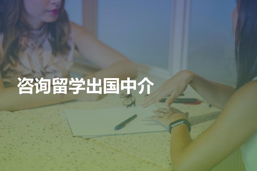出国留学，咨询哪类出国留学中介比较好？留学中介优劣势总结分享