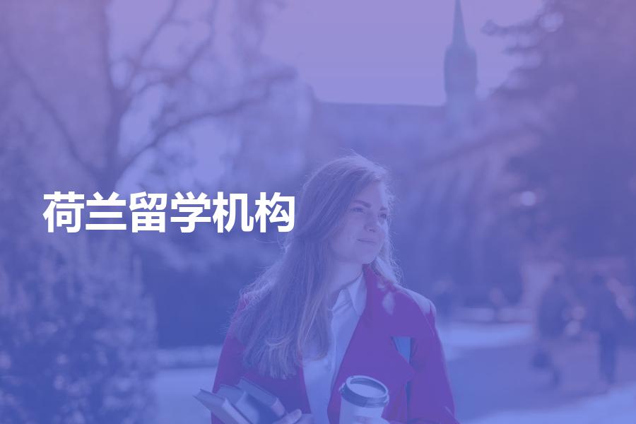 荷兰留学中介机构哪家比较靠谱？get这篇你就知道了！