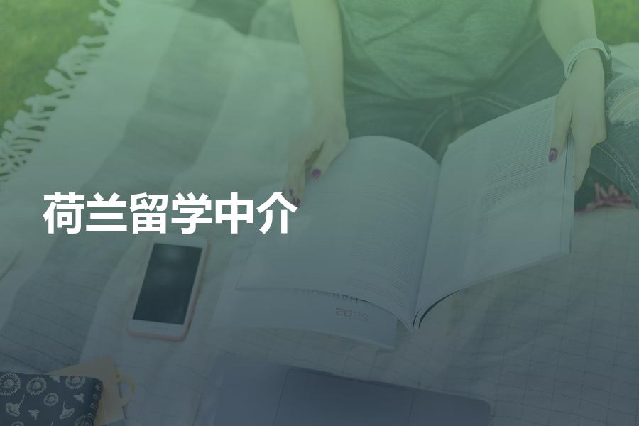 申请荷兰留学应该找中介还是自己DIY？荷兰留学攻略