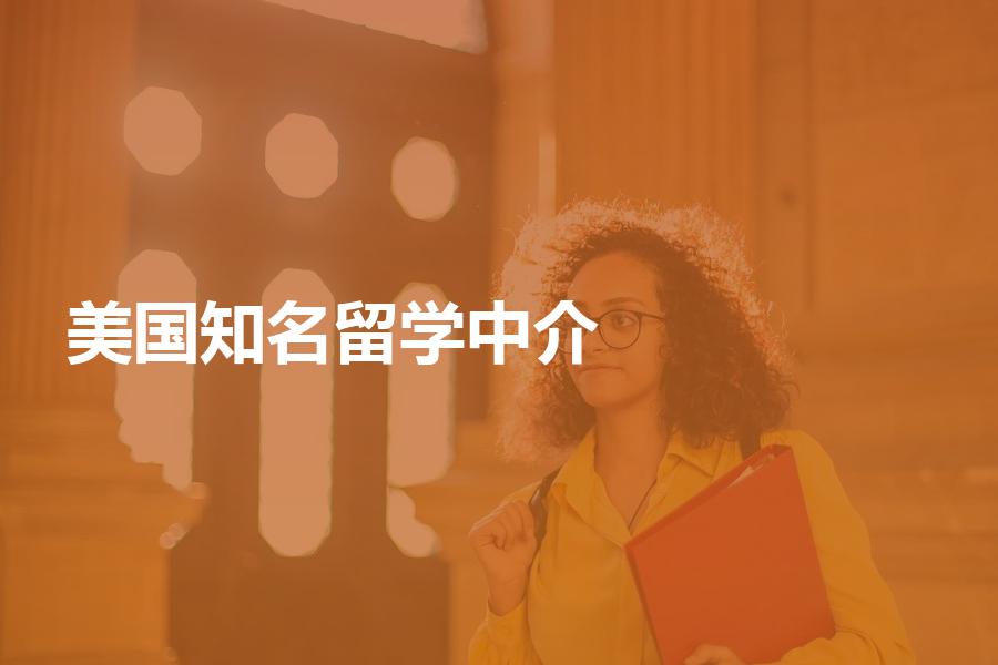 专攻美国比较知名的留学中介都有哪些？代表机构模式优劣势分析