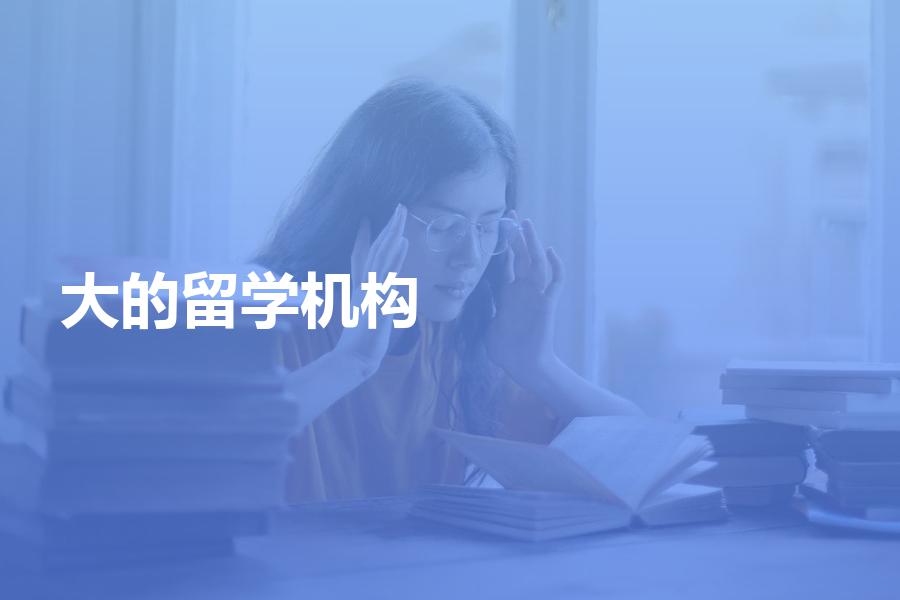 大规模的留学机构和中小型留学机构到底哪个好？优缺点对比