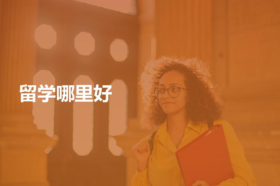 留学机构去哪里找比较好？比较中介机构时要注意什么？
