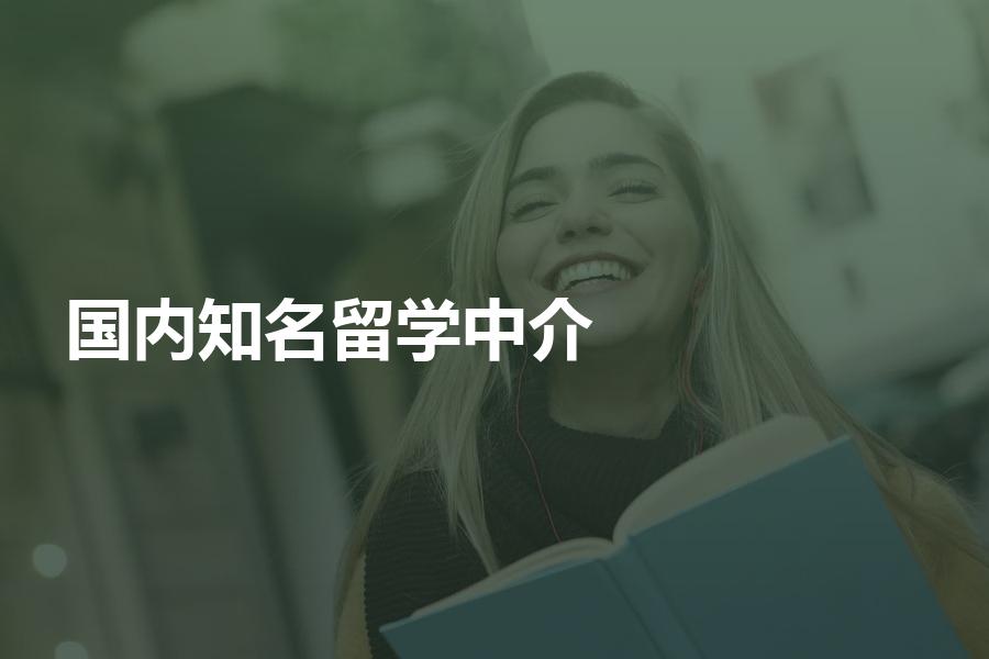 国内知名的留学中介都有哪些?针对5家机构进行点评！