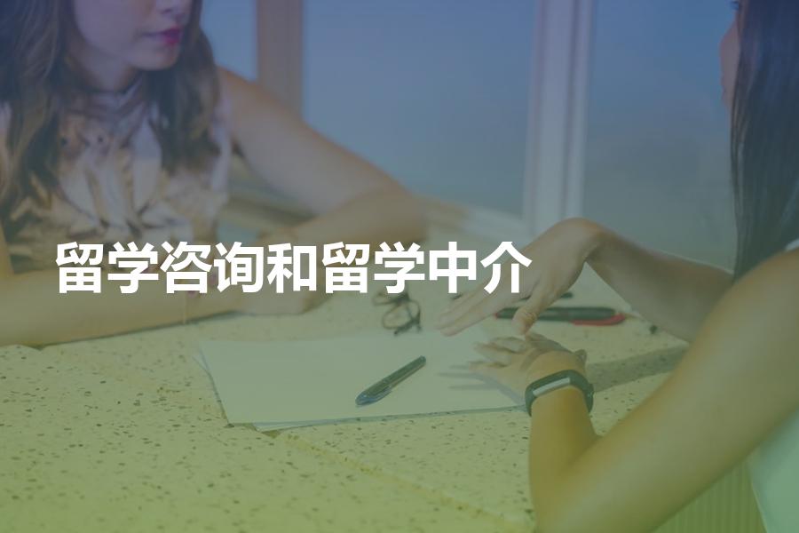 留学咨询公司和留学中介公司选哪个类型比较好？各项指数对比