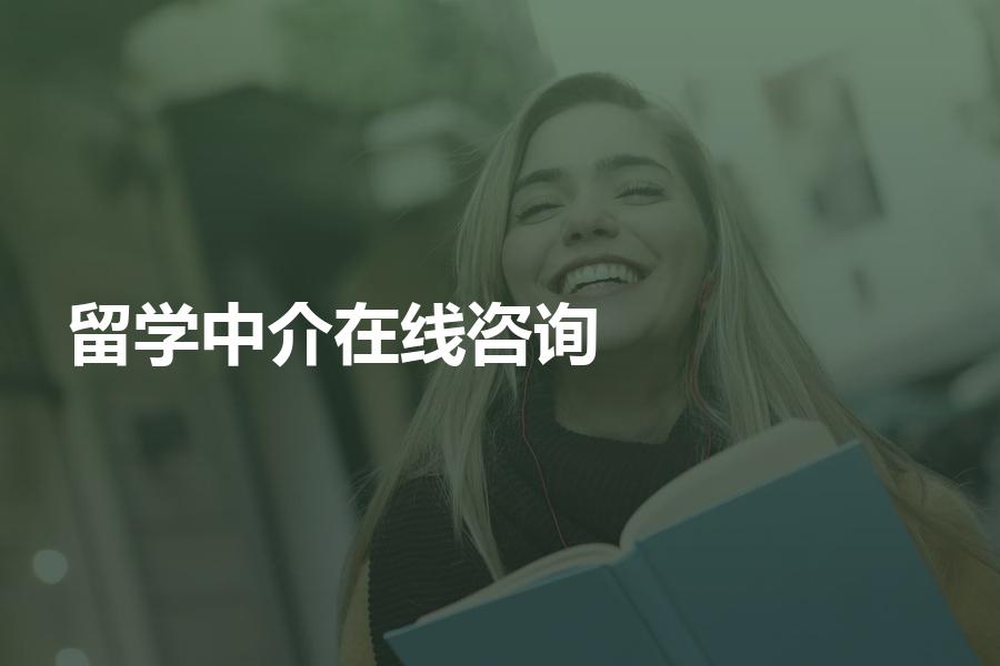 留学中介中在线咨询的机构怎么样？看看你适合哪种留学中介的服务