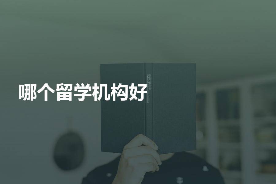 国内哪个留学中介机构评价好一些？专业度才是关键！